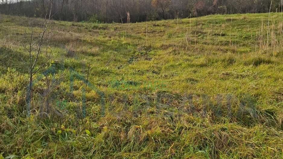 VAND Teren Golaiesti - Poză 3