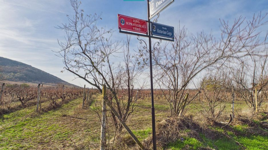 Casuță cu priveliște panoramică spre Cetatea Șiria - Poză 30