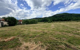 DOUĂ CORPURI DE CASĂ TEREN INTRAVILAN 6997 MP BUGHEA DE SUS ARGEȘ - Poză 7