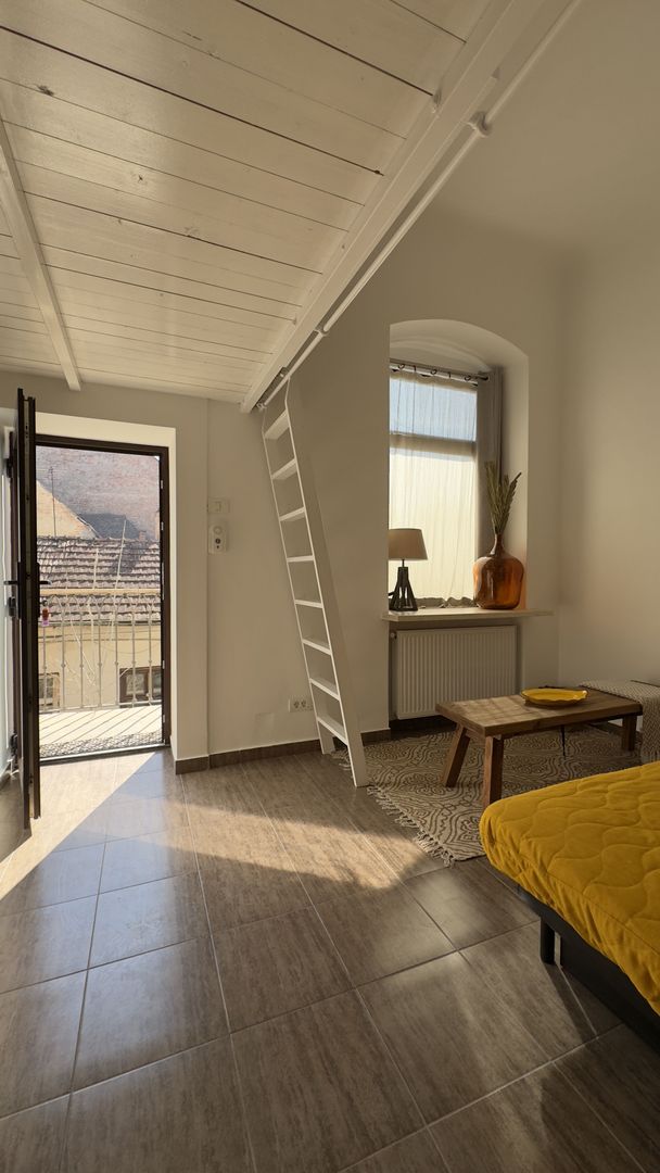 Apartament 27MP  ULTRACENTRAL Piata Unirii - Poză 4