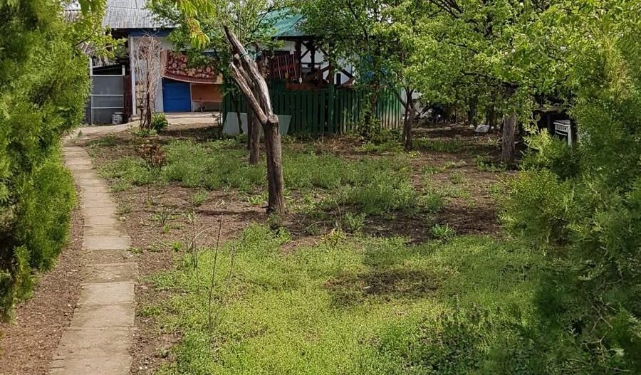 Teren 2.600 mp, utilități, Str. Merișor – Giurgiu - Poză 9