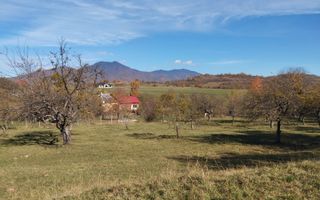 Teren intravilan 5324 mp la drum asfaltat-Parcelabil-Josenii Bargaului - Poză 1