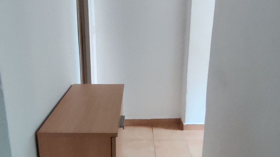 CASA INDIVIDUALA SI HALA CU TEREN  4000 MP - Poză 29