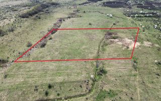 Teren 25.500 mp Valea Avrigului - Poză 1