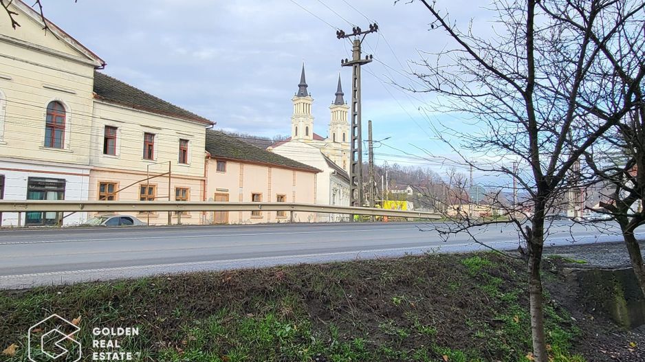 Proprietate tip conac, teren 4468 mp, oras Lipova - Poză 4