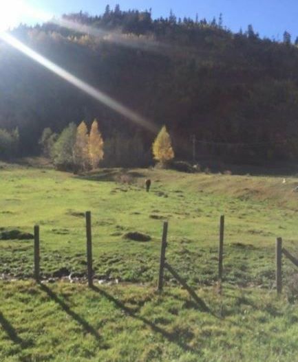 Teren Leresti - Poză 3