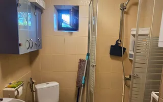 Casă și teren mare, cu ieșire la lac, lângă Mănăstirea Rebegești Crevedia - Poză 16