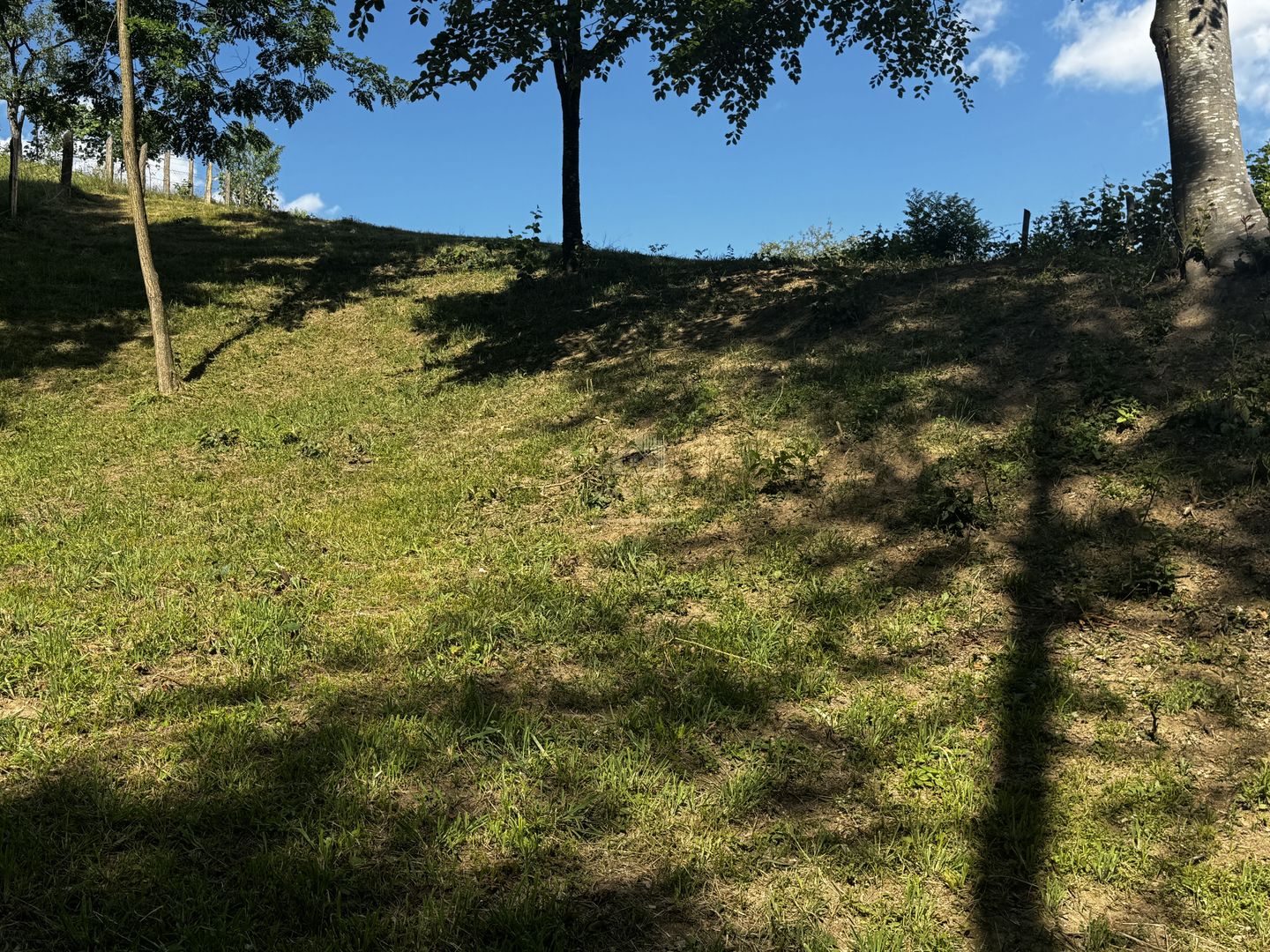 TEREN INTRAVILAN,  SUPRAFAȚA 3446 MP, BUGHEA DE SUS, ARGES - Poză 23