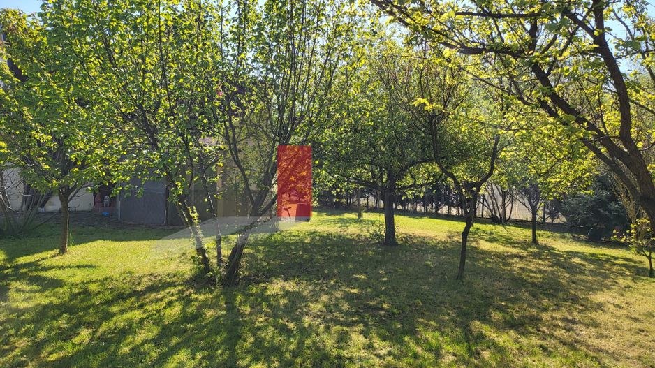 Silistea Snagovului | Casa de vis | Locatia de vis - Poză 12