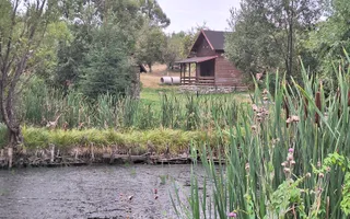 Casă individuală 6 camere de vânzare Brăduleț Argeș Complex Cabane - Poză 15