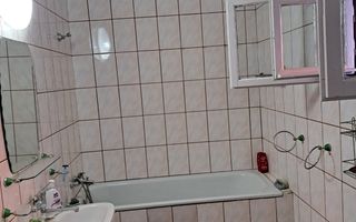 OFERTA in Băcia. Hunedoara ! Proprietate 2 case + Cabană - Poză 13