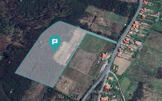 Teren de vânzare – 5,47 ha | Dealul Viilor, Lugoj - Poză 3