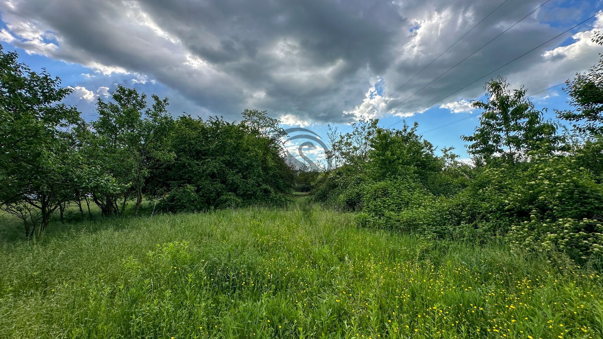 Teren de vanzare | 3.600mp | Valeni de Munte, Prahova | Comision 0% - Poză 2