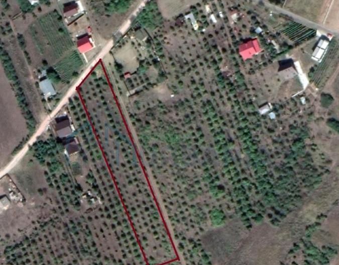 Teren intravilan 5.050 mp Tomesti–Chicerea | P+2E | casa sau parcelare - Poză 2