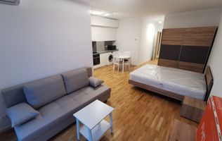 Inchiriere Studio Baneasa Bucuresti sector 1  curte privata, Aeroprort