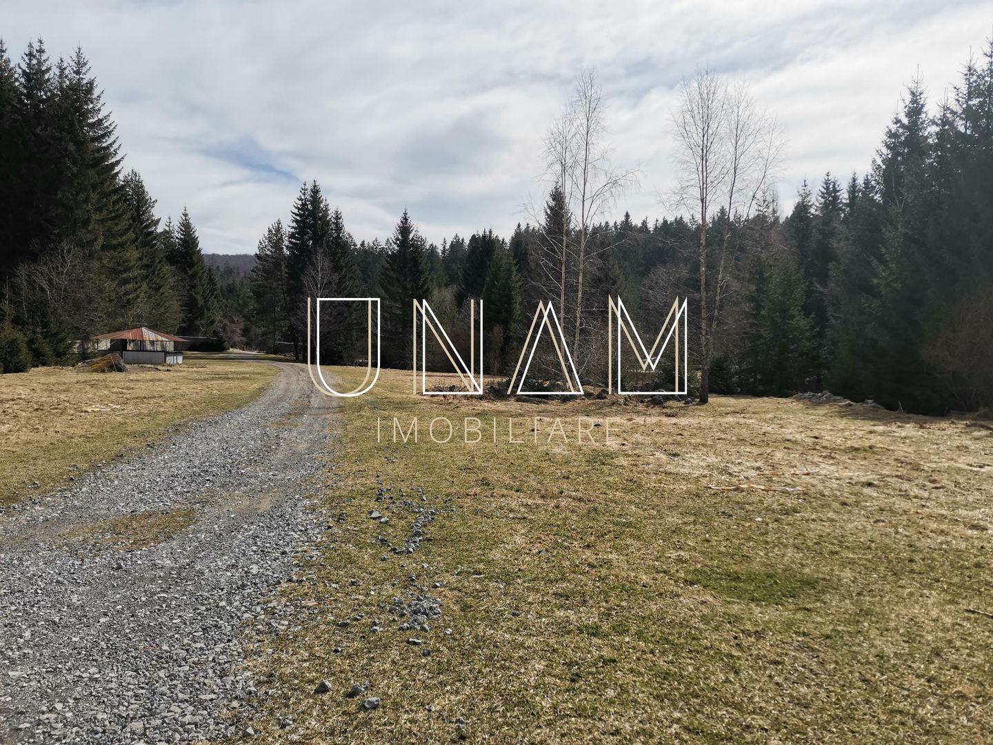 ***OFERTA NOUA*** Teren lângă Scenă, în Poiana Lupului, Gărâna - Poză 13