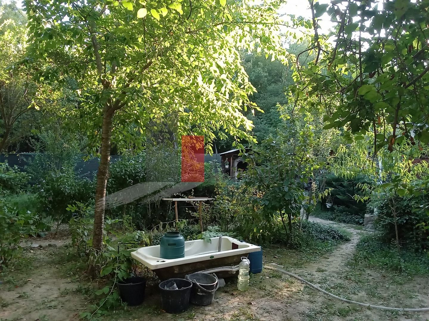 Vânzare teren intravilan Dărăști-Vlașca - Poză 11