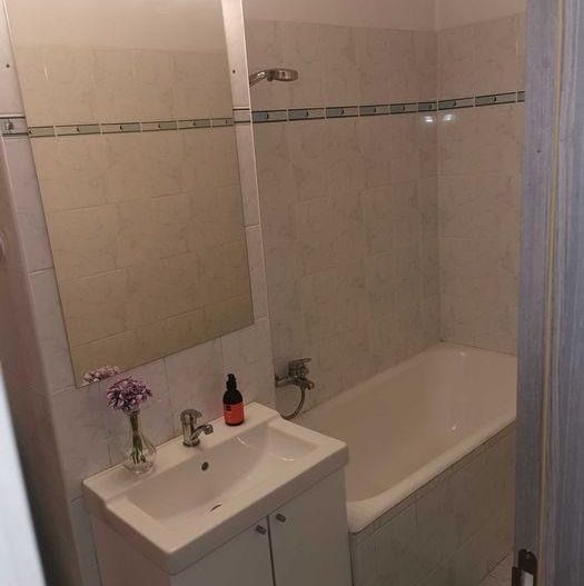 Apartament 2 Camere, Calea Mosilor - Poză 6