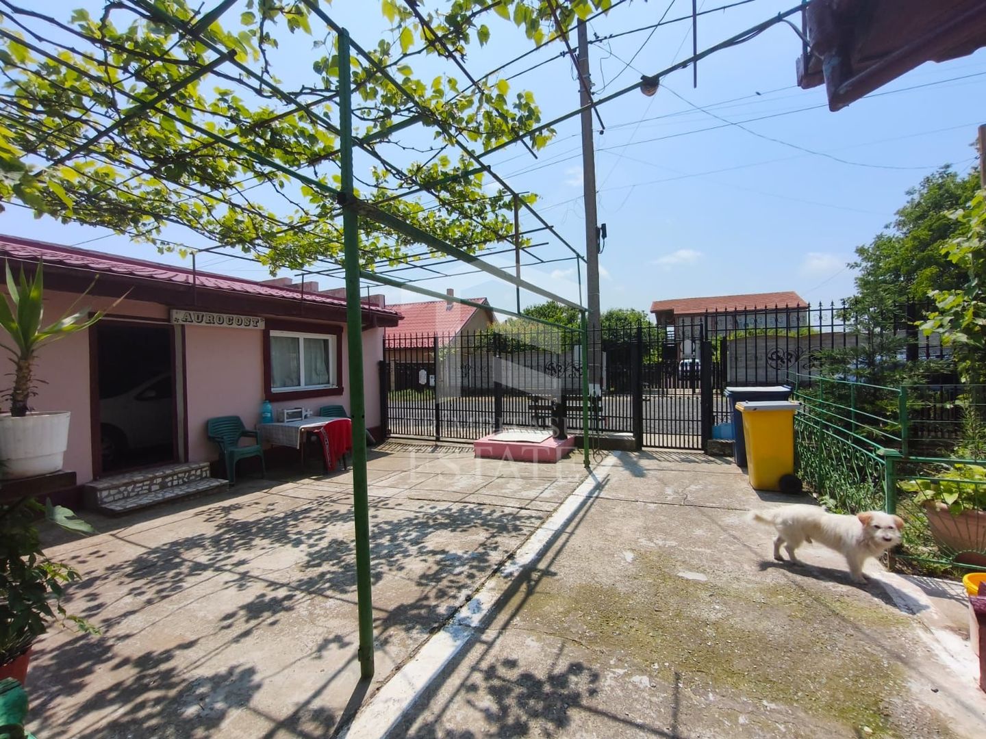 CASA  POIANA | PANOURI SOLARE | TEREN 800 MP - Poză 3