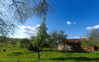 Descoperă căsuța ta de vis la poalele Munților Apuseni - Poză 24