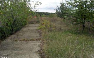 Teren la 35 km de Bucuresti - Izvorani - Ciolpani - Poză 1