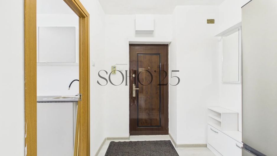 Apartament 2 camere | Bd. Tineretului | Parter cu terasă închisă - Poză 11