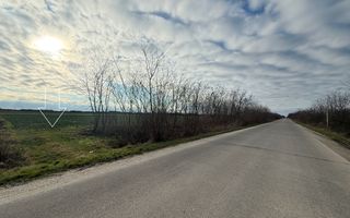 Teren 6600MP Cu Front Stradal 101 M La Intrare in Lazuri Str Botizului - Poză 5