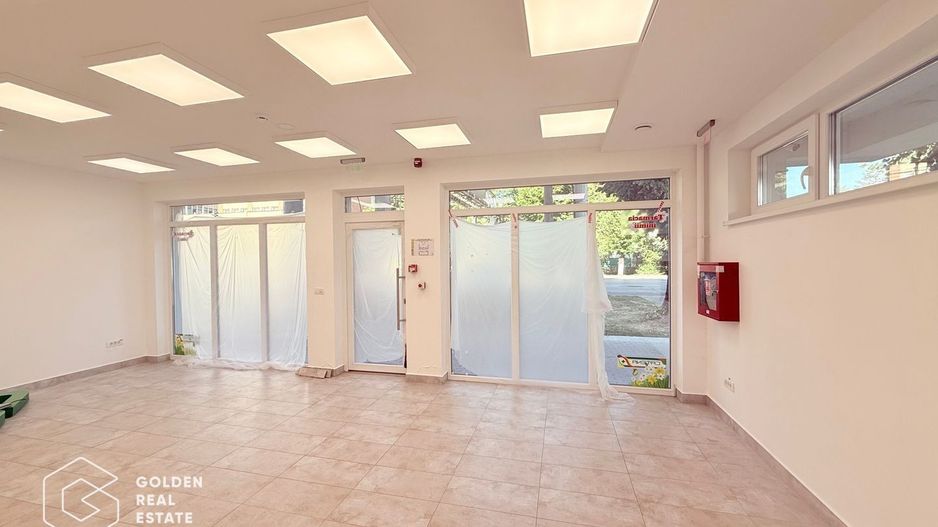 Spațiu comercial de inchiriat, Calea Victoriei - Poză 2