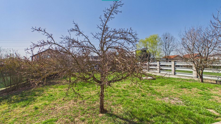 Casă individuală de închiriat – Moșnița Nouă - Poză 38