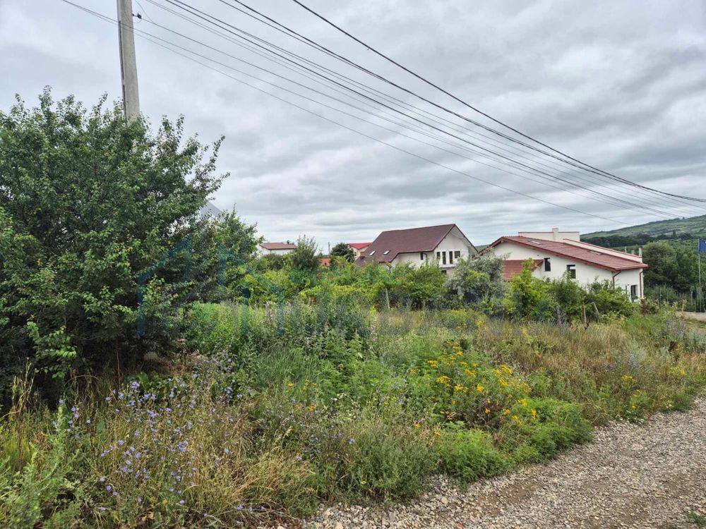 Vând Teren Vișan Bîrnova intravilan - Poză 4