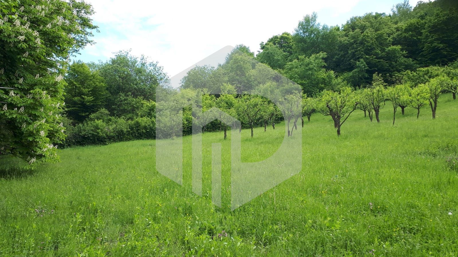 Teren de vanzare - Extravilan - 4288mp - Gusterita - 0% Comision - Poză 3