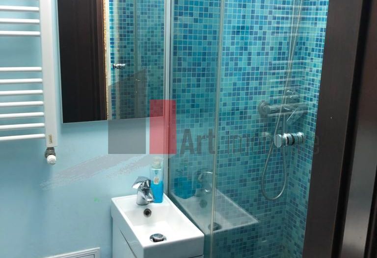 Lacul Tei-spre Parcul Circului-Centrala Termica- - Poză 10