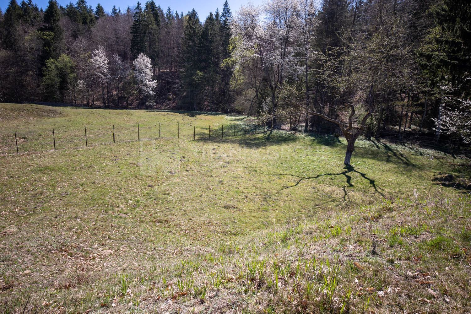 Teren intravilan, pretabil pentru casa de vacanta, 2000 mp - Poză 4