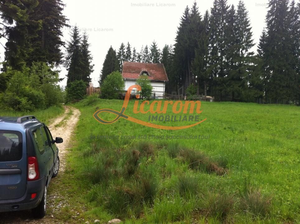 Teren intravilan Cotul Donului,pretabil Hotel/pensiune. - Poză 18