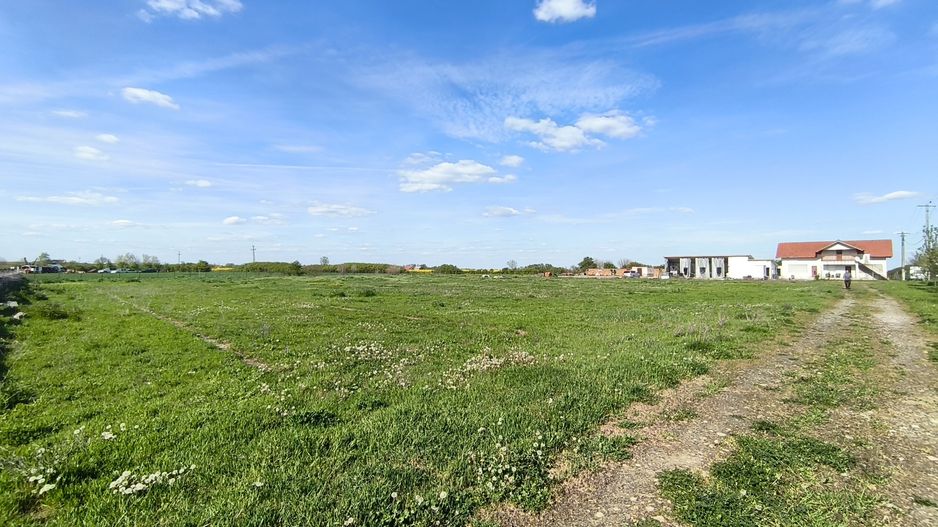 Casa cu 4 camere cu teren de 14,340 mp + platforma de beton cu hala - Poză 4