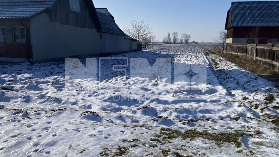 Teren | Maneuti | Strada principala | 38 ARI - Poză 3