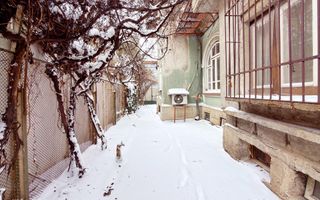 Floreasca | UNIC Casa 4 camere cu Autorizatie de Construire- Extindere - Poză 33