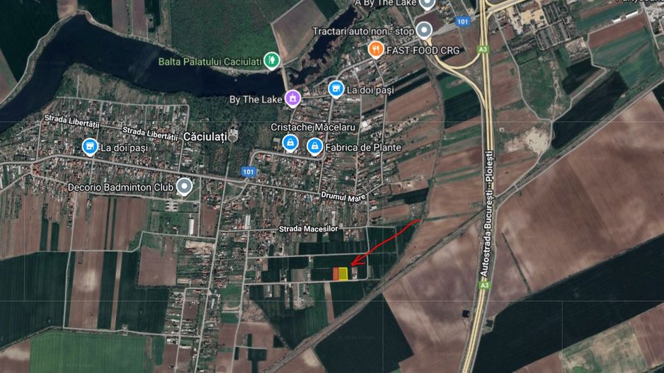 Teren intravilan 1000+2000mp Caciulati Ilfov - Poză 2