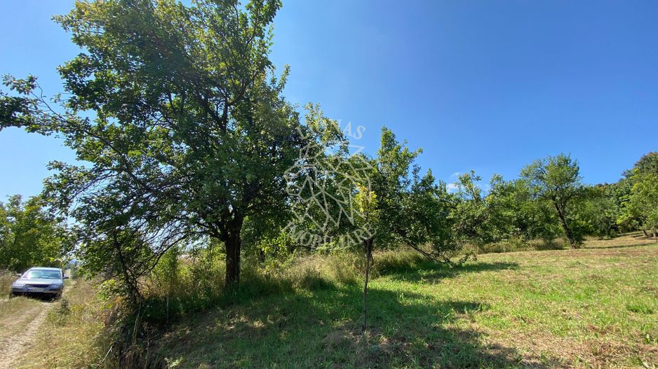 Teren intravilan 1300 mp-parcelabil-Viile cu Pomi-Unirea-Exclusiv - Poză 4