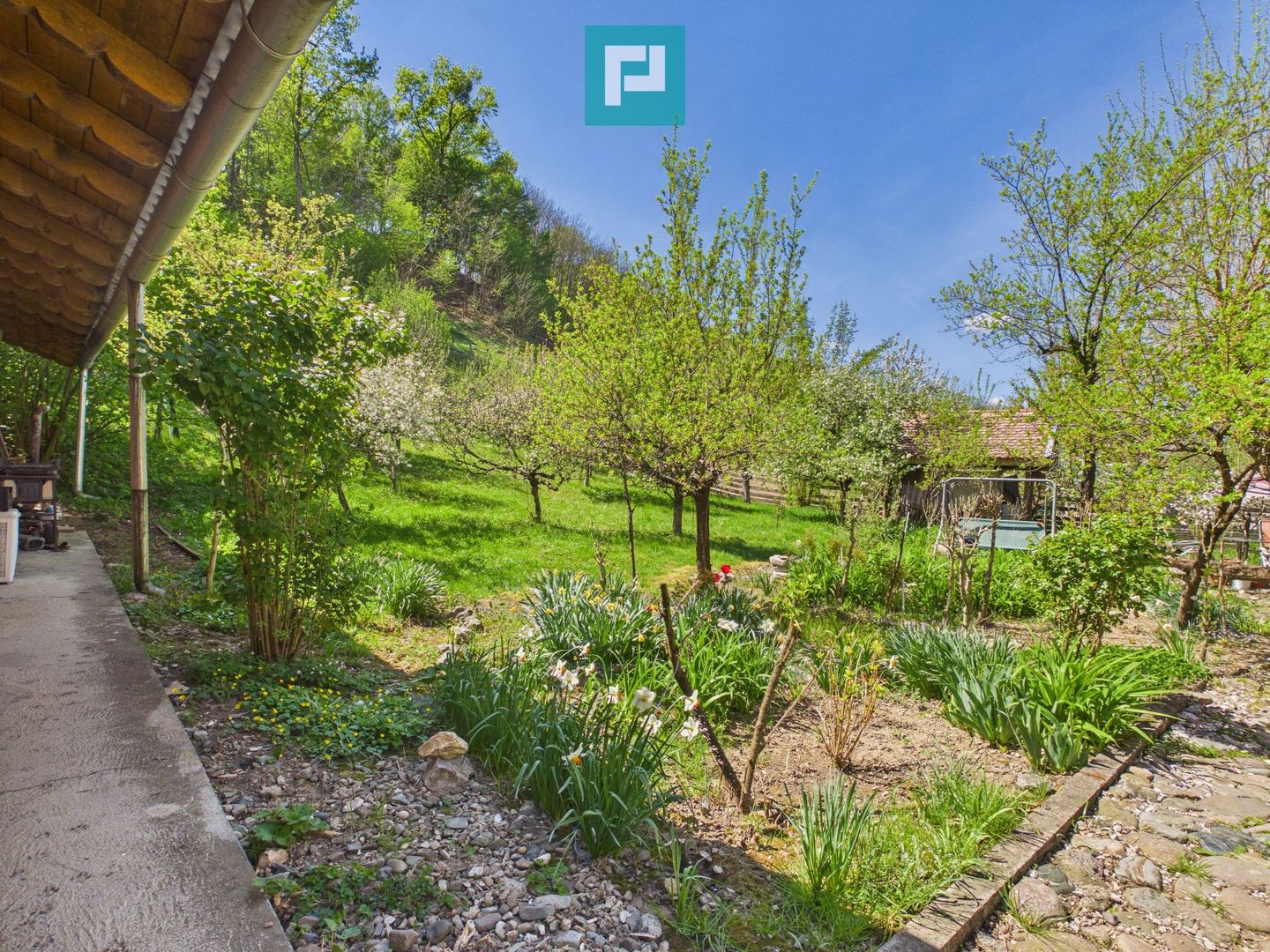 Casă Câmpani, 8000 mp teren, la poalele Apusenilor - Poză 17