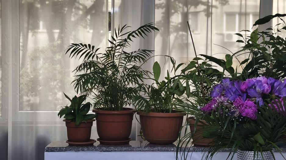 Sagului | 3 camere | 64 mp utili+balcon | centrala proprie | Et. 2\4 - Poză 13