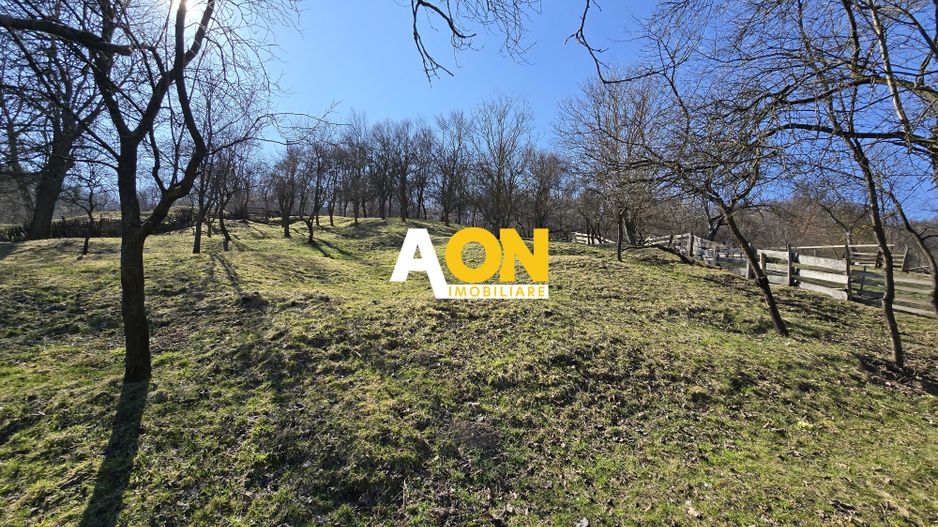 Casa de Vacanta 2 Camere, Strada Morilor Zlatna - Poză 15