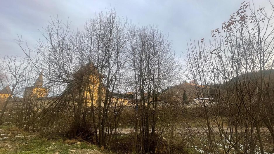 TEREN INTRAVILAN 2,26 HA | SUCEVITA | - Poză 8