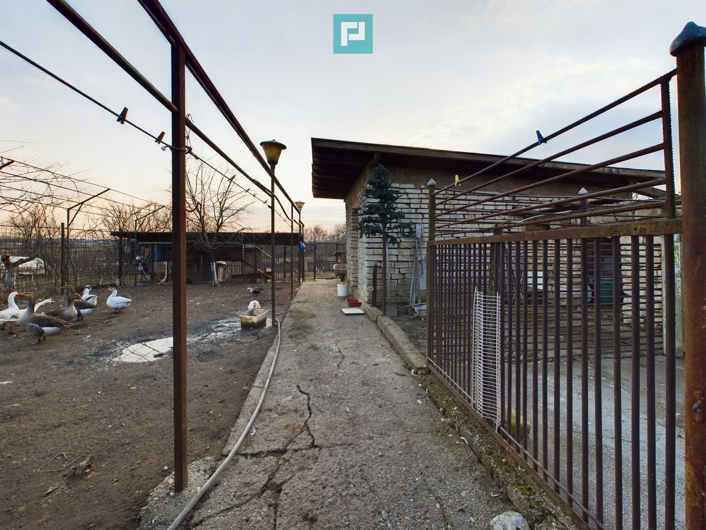 Casa modesta, 2500 mp teren, Domnesti - Poză 14