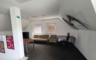 De Vânzare Casă P+M str Vulturului SM - Poză 10