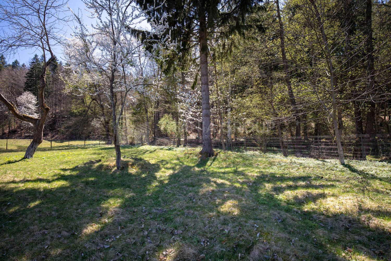 Teren intravilan, pretabil pentru casa de vacanta, 2000 mp - Poză 3