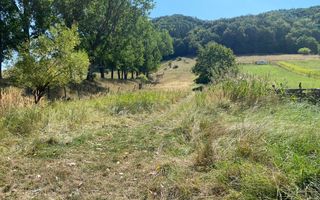 Teren intravilan 2600 mp - pretabil casa/investitie-Zona Aerodrom - Poză 8