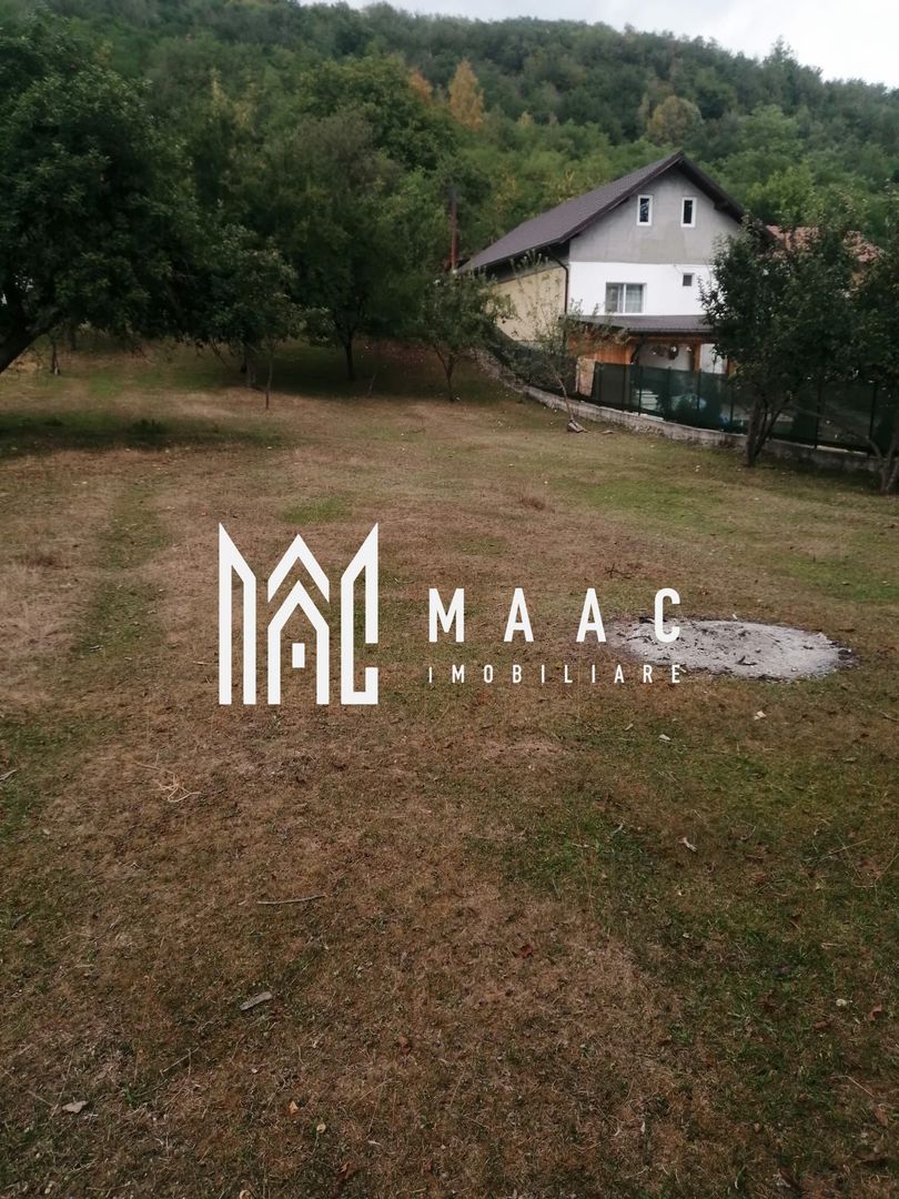 Teren Intravilan 10.000 mp | Livadă + Pădure de salcâm | Bărbătești - Poză 4