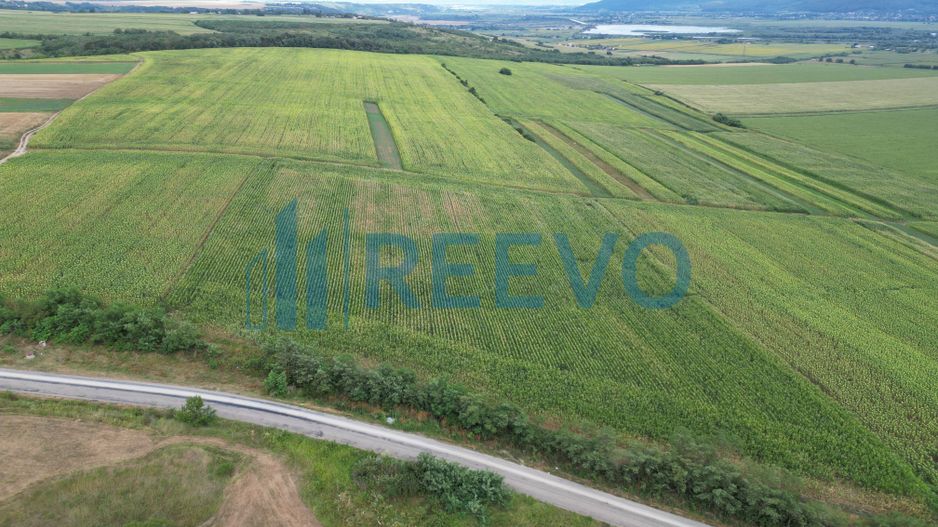 Teren de 3.600 mp Racova - Poză 5