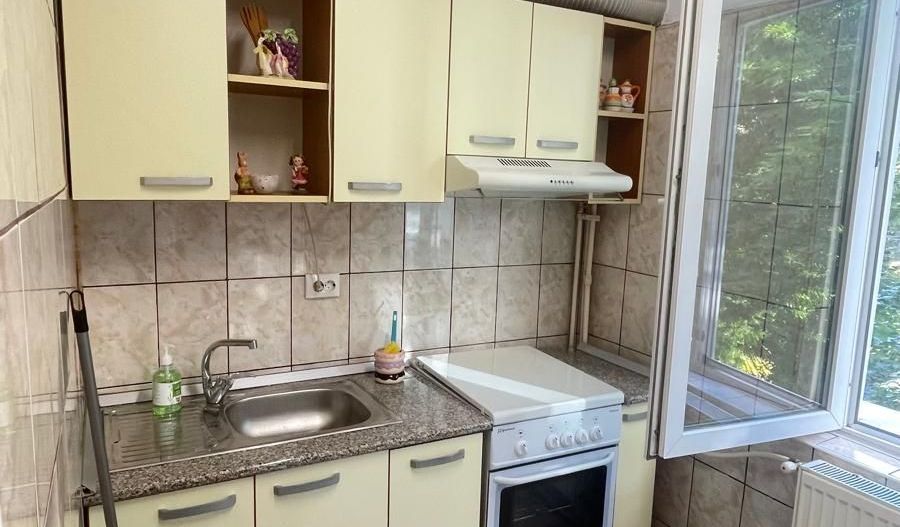 GARSONIERA COCHETA ZONA DRISTOR - Poză 2